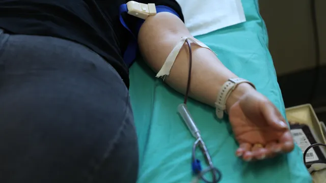 Д-р Грънчарова: Дарената кръв спасява три живота