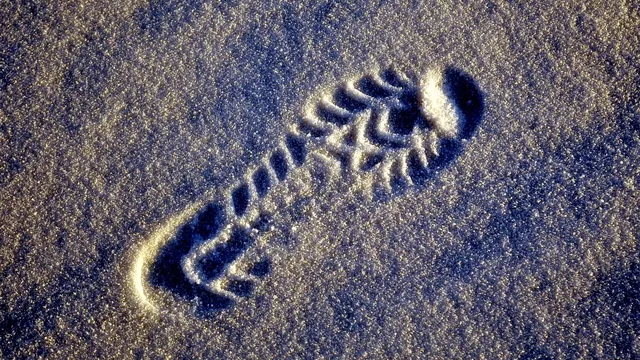 Хазартно зависим е бил внукът, убит от дядо си в пловдивското село Поповица