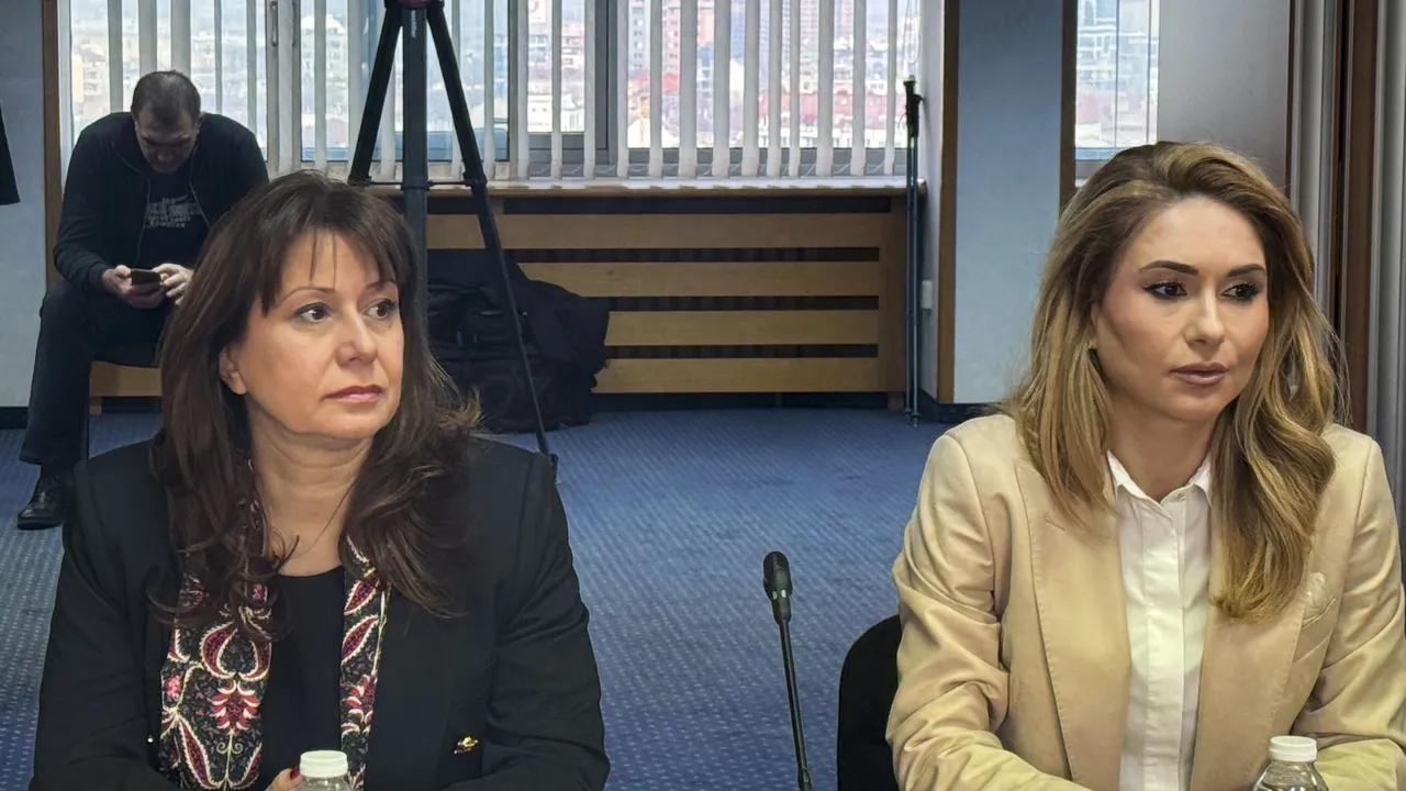 Омбудсманът: Необходими са повече кризисни центрове за подкрепа на жертви от насилие