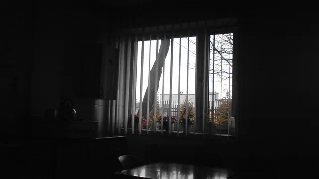 Окончателно: 20 г. затвор за Борислав Панев