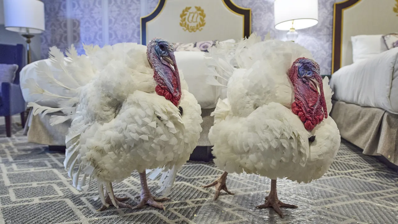 Тръмп помилва Гобъл и Уодъл, но не и Джо Байдън