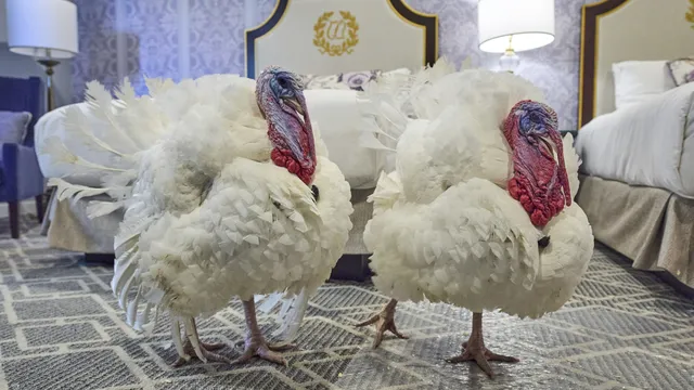 Тръмп помилва Гобъл и Уодъл, но не и Джо Байдън