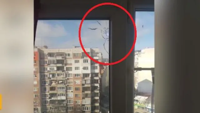 Снайперист в „Редута“: Стрелят по котки и камери, кварталът е в паника