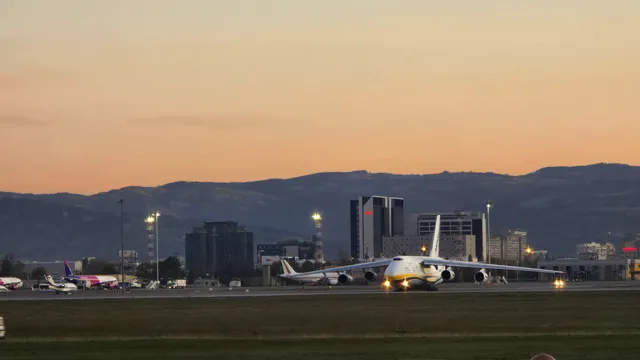 Митничари задържаха недекларирани цигулки на летище "Васил Левски"