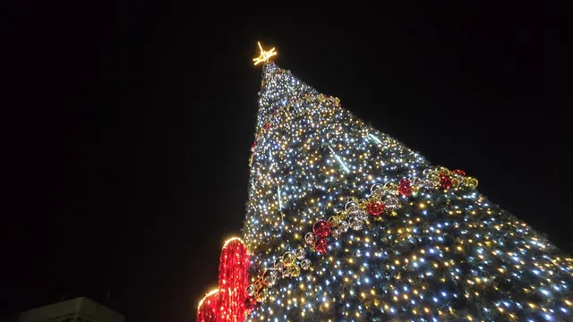 Коледната елха в София грейва на 2 декември