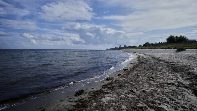 Хакери разкриват руски план за екологична катастрофа в Херсон с риск за България, Румъния и Турция