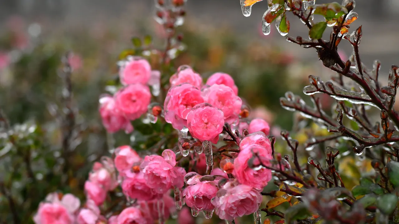 Разкъсана облачност и по-ниски температури ни очакват утре