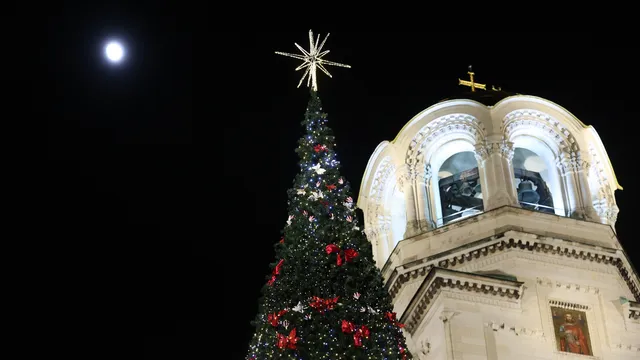 Над 20 000 светлинки огряха елхата в София