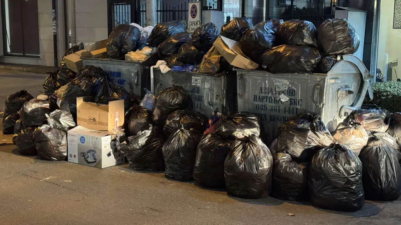 Кофите за Боклук в Дианабад преливат (СНИМКИ)