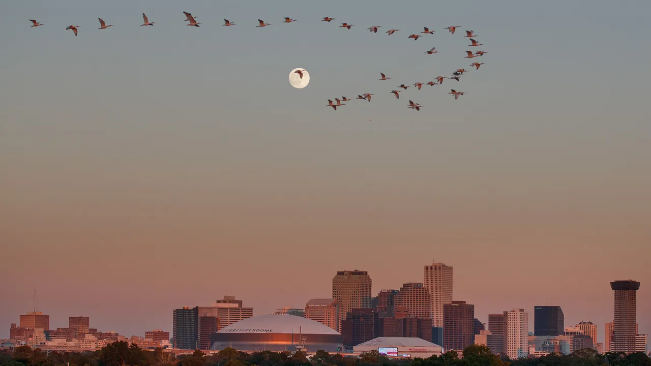 В Ню Орлиънс американското правителство разполага федерални агенти срещу престъпници мигранти