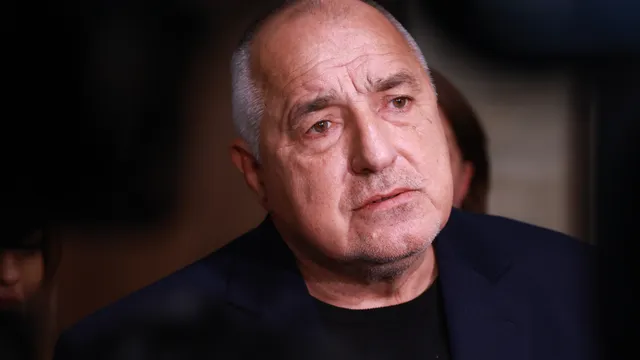 Протест с картина „Мафия“ пред дома на Борисов (ВИДЕО)