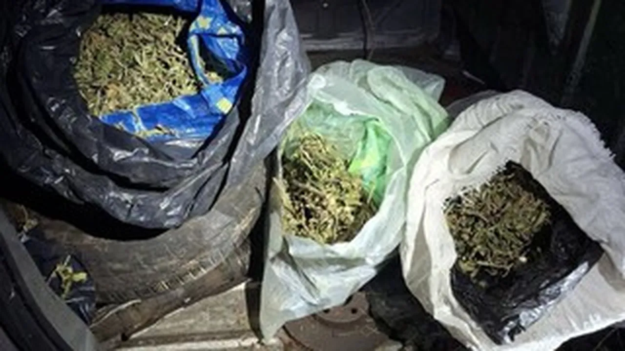 Иззеха 8 кг марихуана при акция в Бобов дол