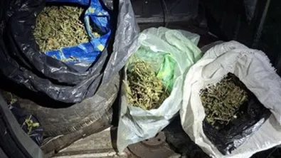Иззеха 8 кг марихуана при акция в Бобов дол