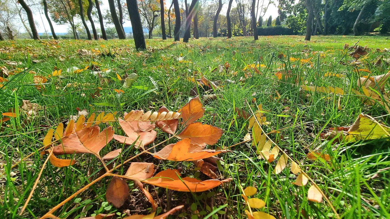 Утре ще е облачно в Северна България и слънчево в Южна