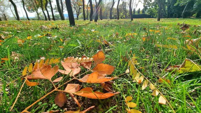 Утре ще е облачно в Северна България и слънчево в Южна