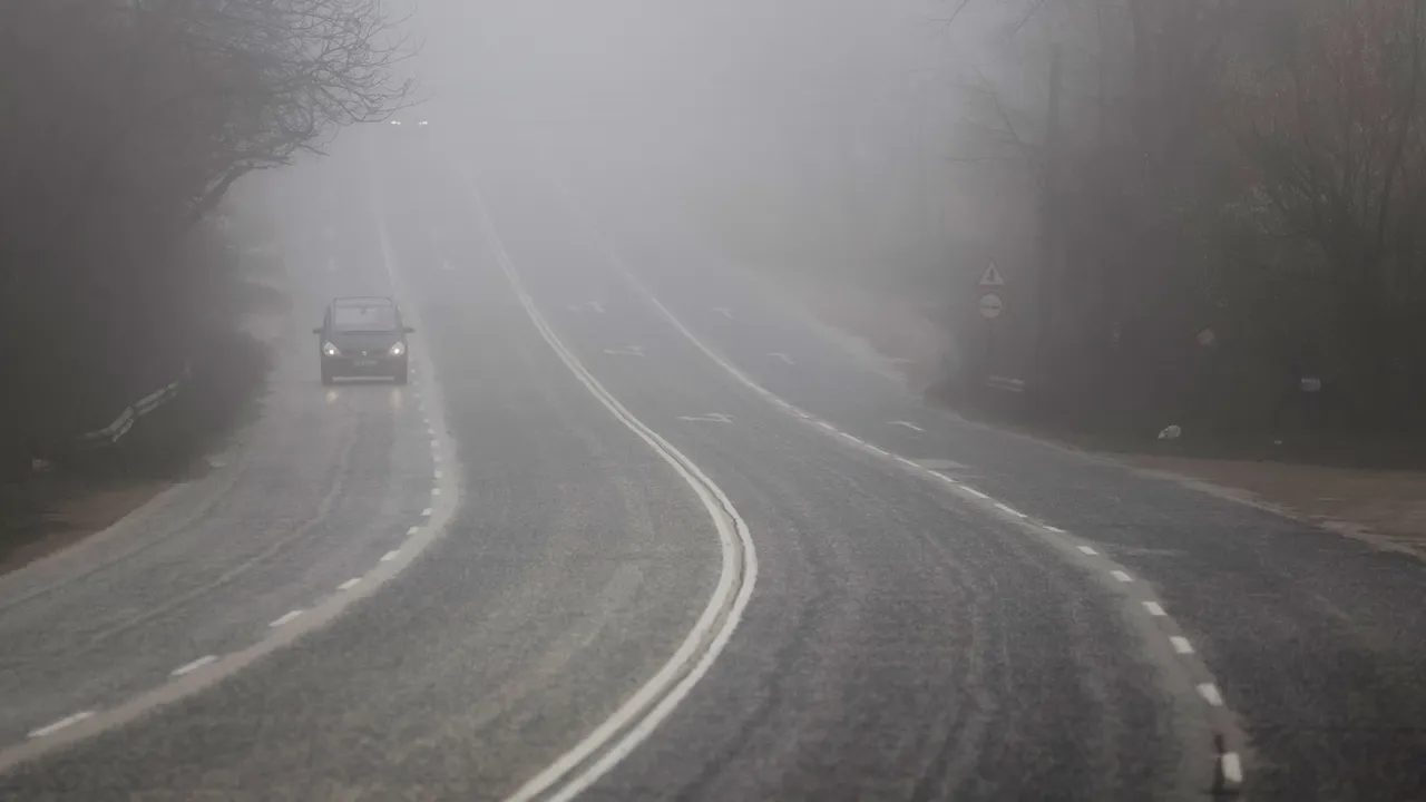 Зелен билет в София днес