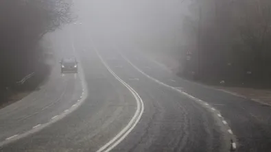 Зелен билет в София днес
