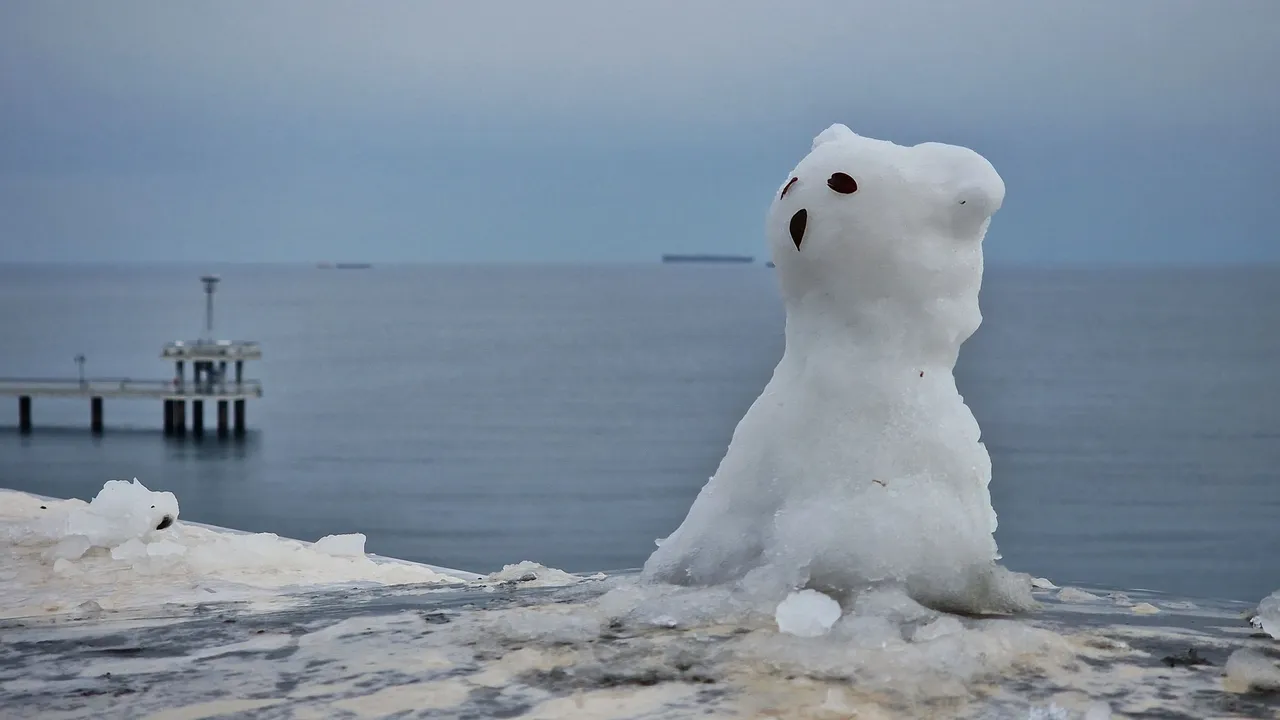 Сняг на Коледа и Нова година
