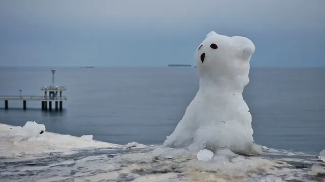 Сняг на Коледа и Нова година