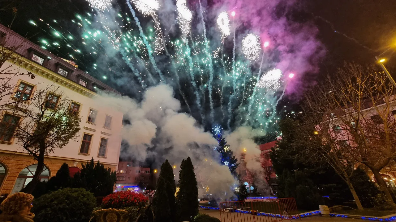 Природозащитни организации: Фойерверките и пиратките причиняват стрес на животните