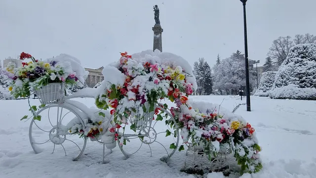66 екипа ще гарантират, че в Северозападна България ще има ток по празниците
