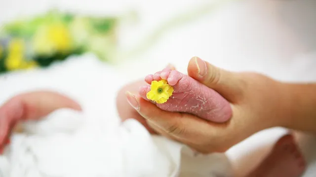 Четири двойки близнаци за пет дни се родиха в АГ "Шейново"