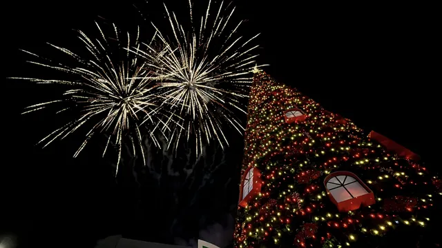 Коледни традиции в България и по света