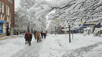 След снеговалежите: някои населени места все още без ток