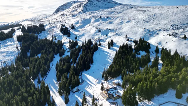 Туристи тръгнали с маратонки и дънки, спасени на Витоша