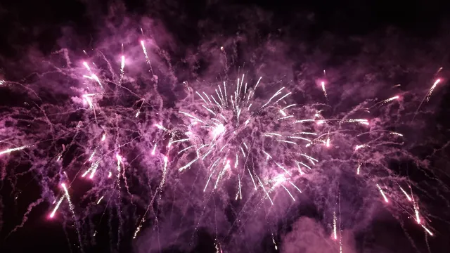 За поредна година фондация "Четири лапи" призовава - празнувайте без фойерверки