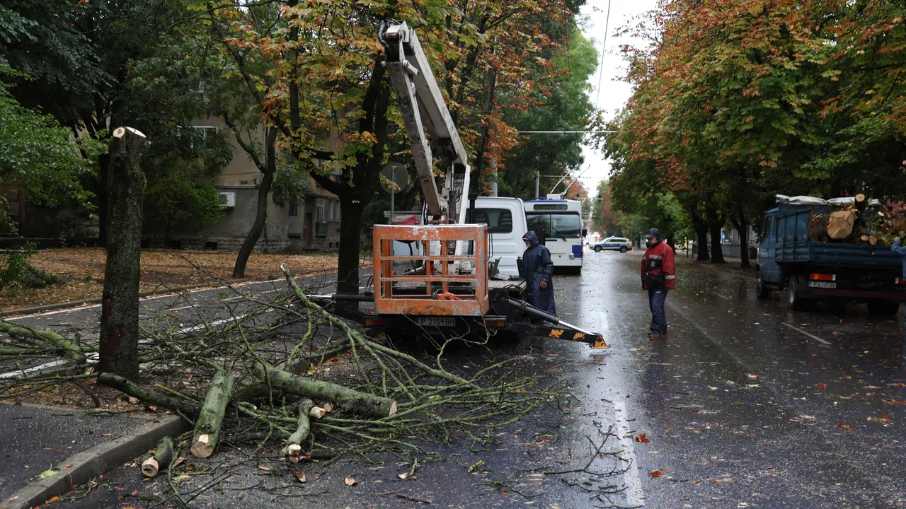 Ураганен вятър с 120 км/ч нанесе редица щети във Враца