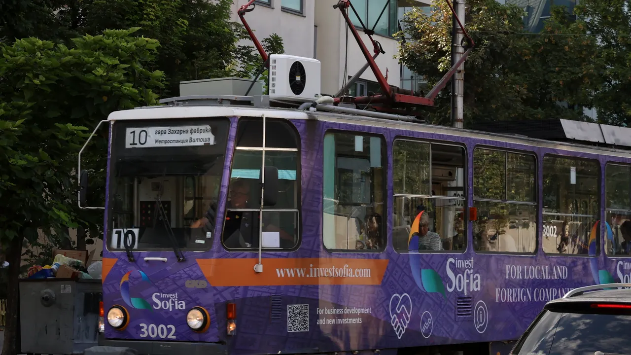 Паднало дърво край Семинарията обърка временно графика на трамвайните линии