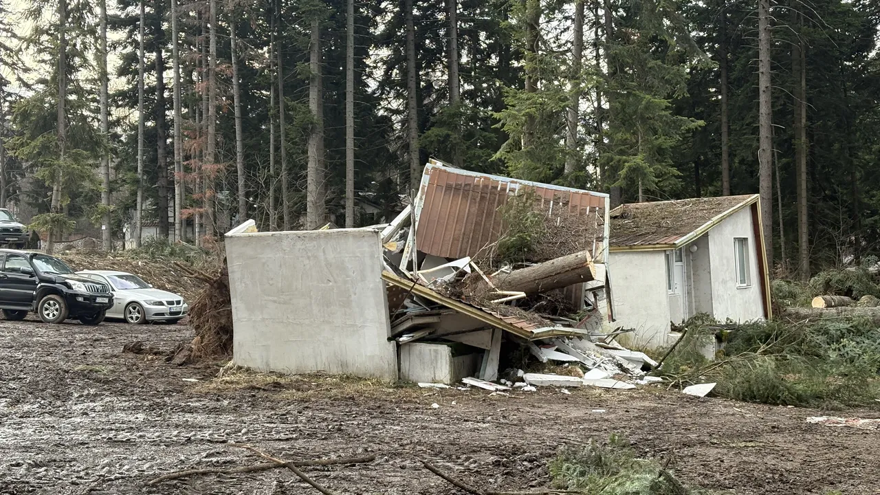 Три коли са пострадали от паднали дървета в Боровец