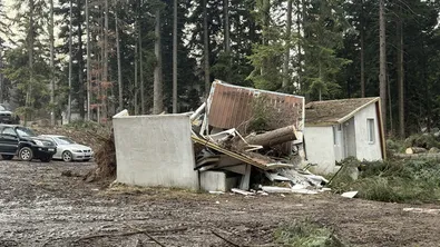 Три коли са пострадали от паднали дървета в Боровец