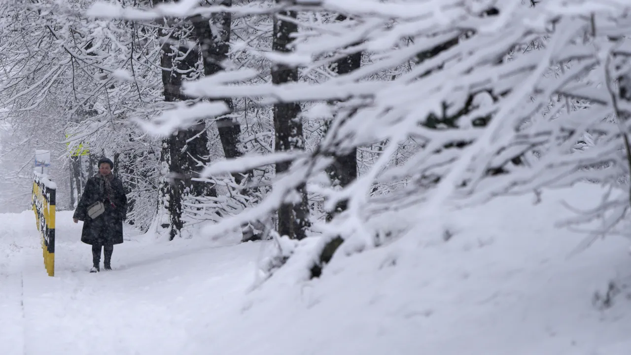 Обилните снеговалежи в Румъния взеха две жертви