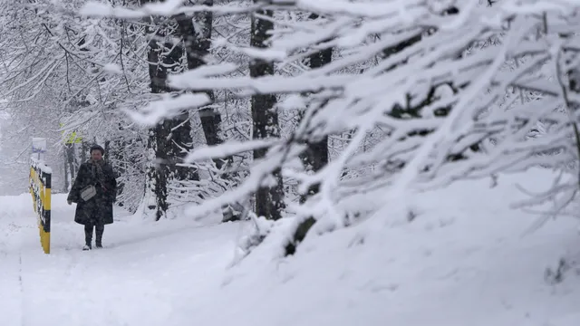 Обилните снеговалежи в Румъния взеха две жертви