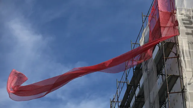 Силният вятър в Перник събори клони и ламарини