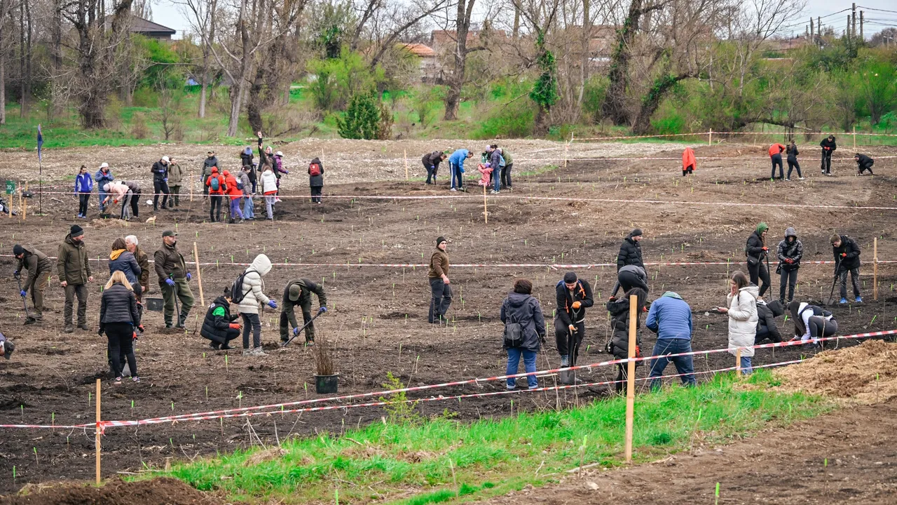 Васил Терзиев с отчет за озеленяването на София