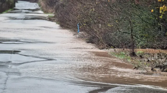 Създадена е организация за защита на населението в Крумовград и Кирково