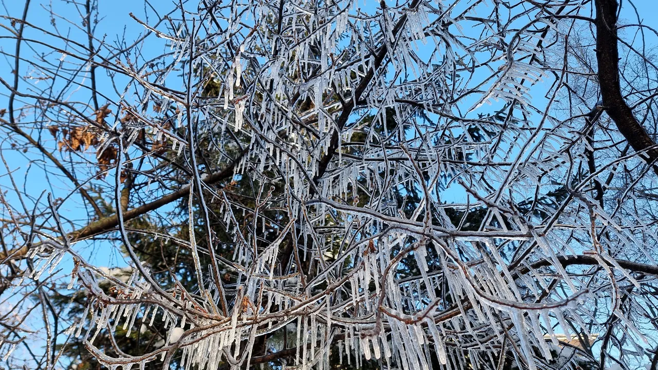 Утре ще бъде слънчево, но мразовито