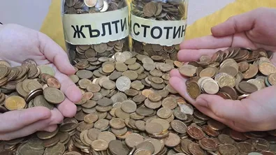 Чудите се какво да правите с жълтите стотинки - дарете ги в помощ на бездомно животно