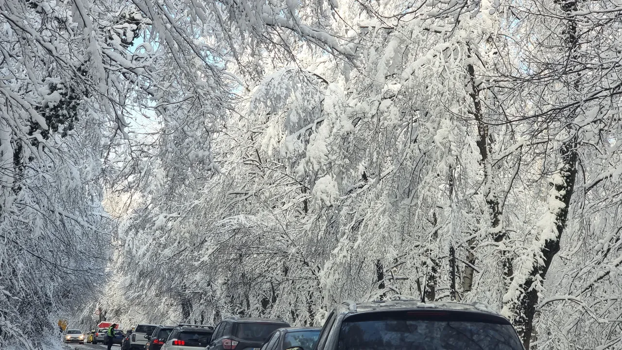 30 см сняг и затворен път към Витоша (ВИДЕО)