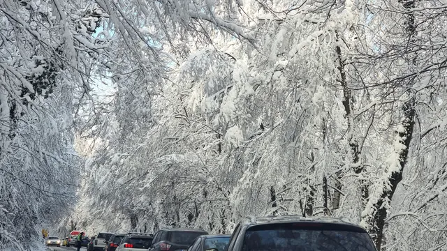 30 см сняг и затворен път към Витоша (ВИДЕО)