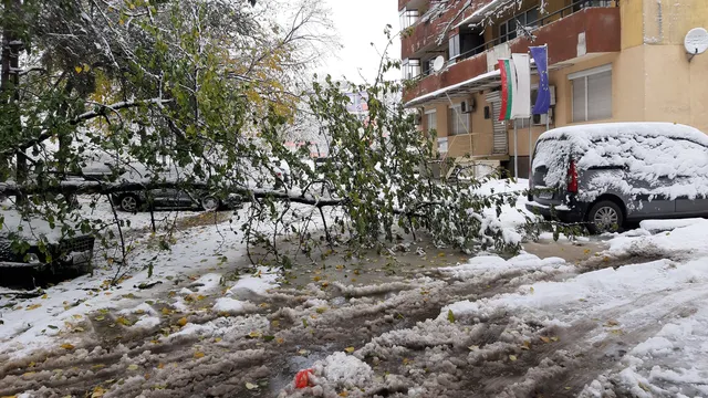 Дъждът тества София: 35 сигнала за часове