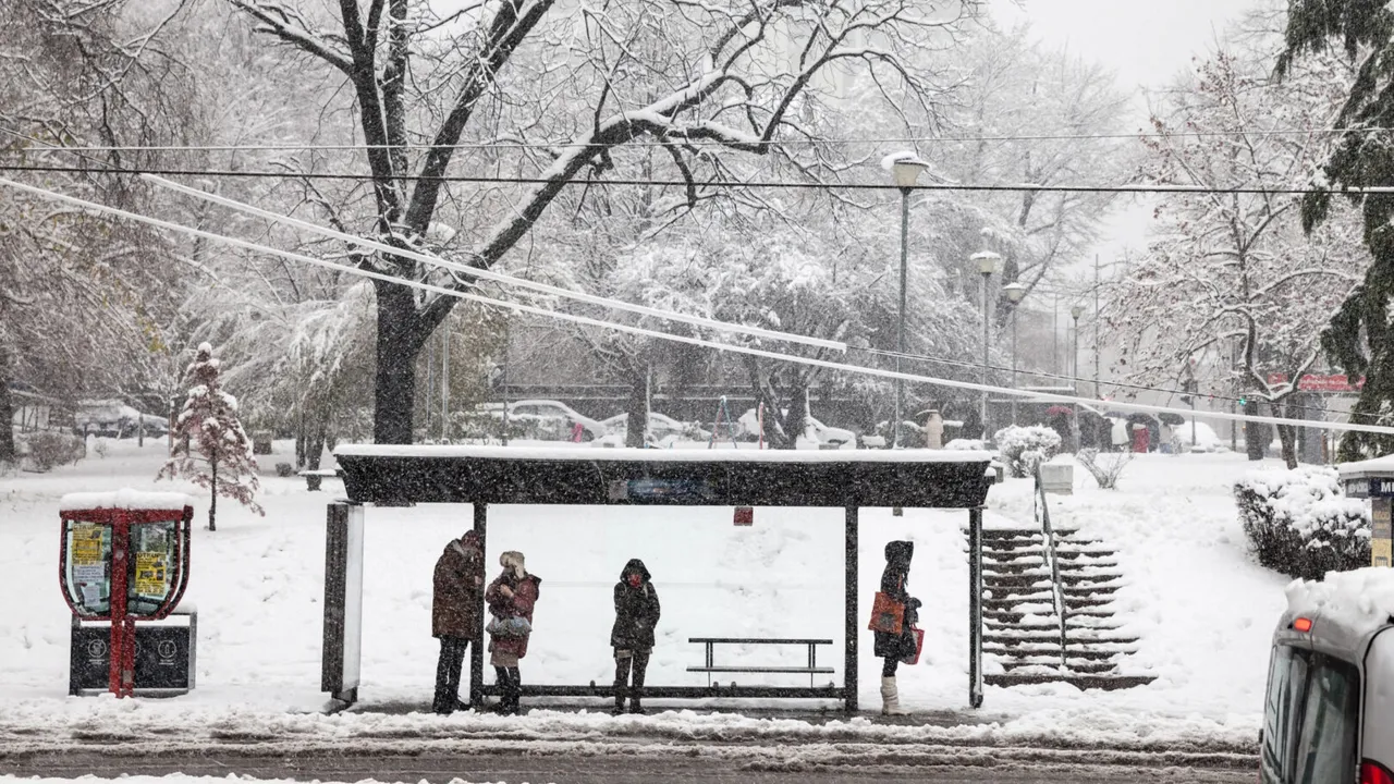 Сърбия обяви извънредно положение заради снеговалежи: Хиляди домакинства без ток