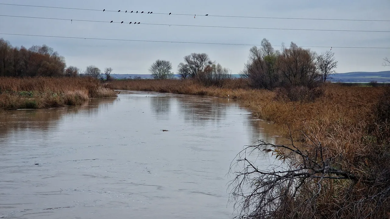 Тяло на 63-годишен мъж открито в река във Видинско