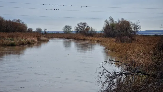 Тяло на 63-годишен мъж открито в река във Видинско