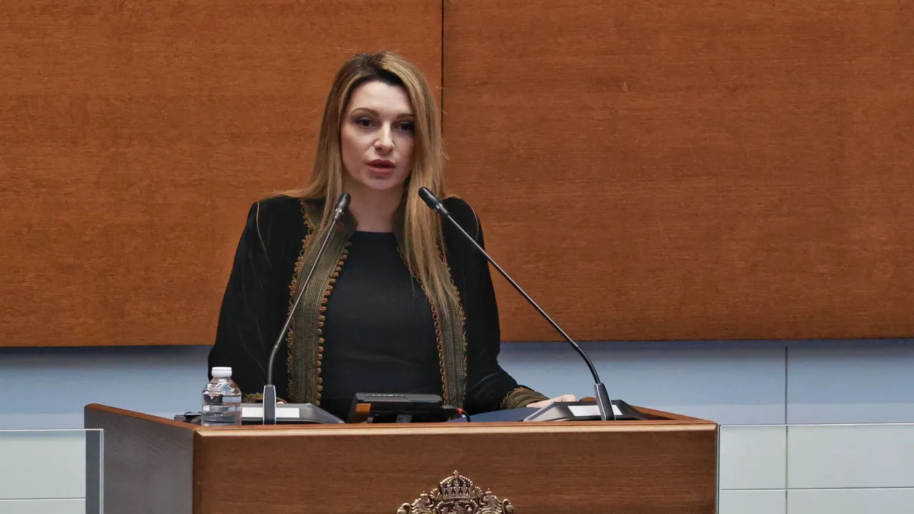 ИТН: Влизаме в новата година без бюджет, което означава без социална защита