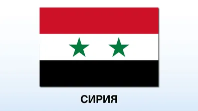 Дамаск и кюрдските СДС постигнаха незабавно прекратяване на огъня