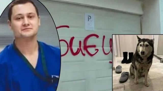 Лекарят, който прегази кучето Мая, отново лекува пациенти във ВМА